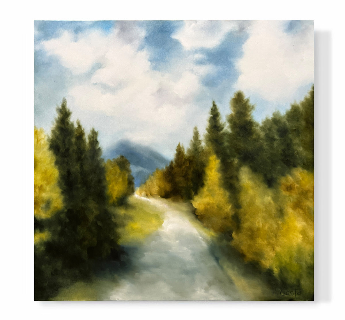 "Lined with Aspens"