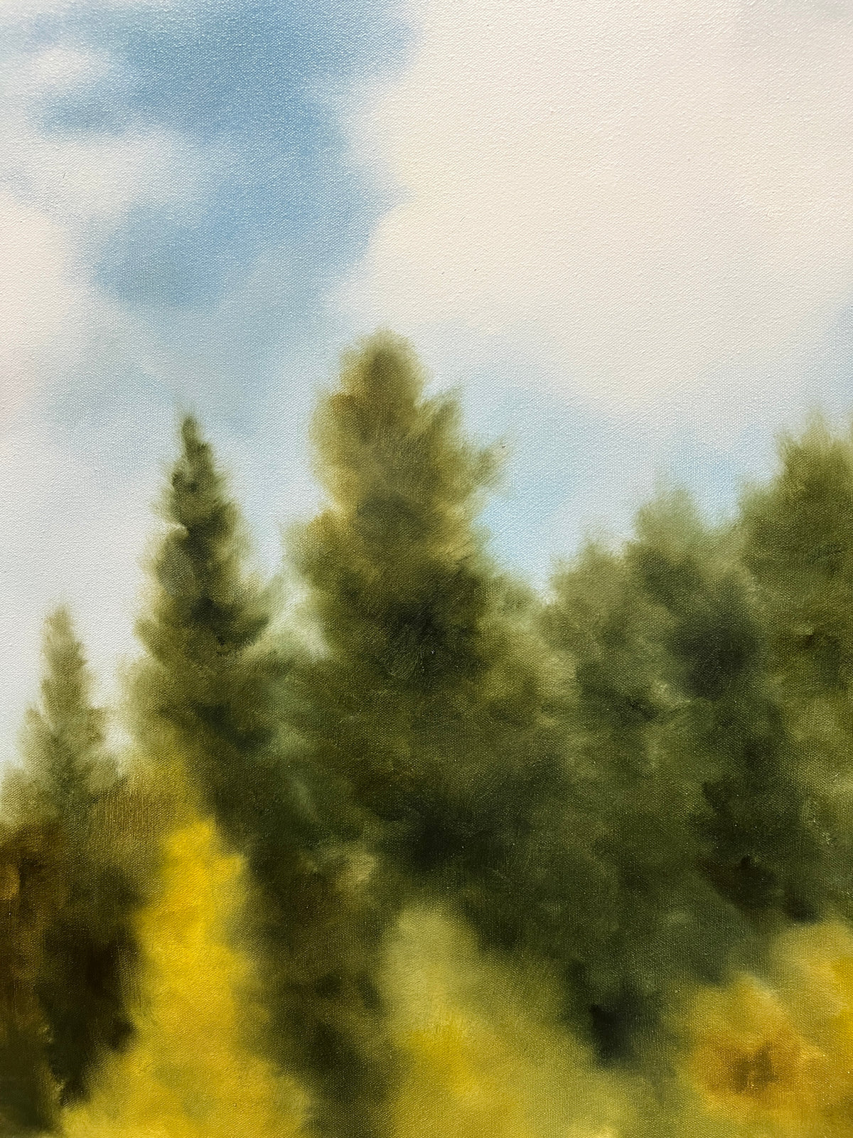 "Lined with Aspens"