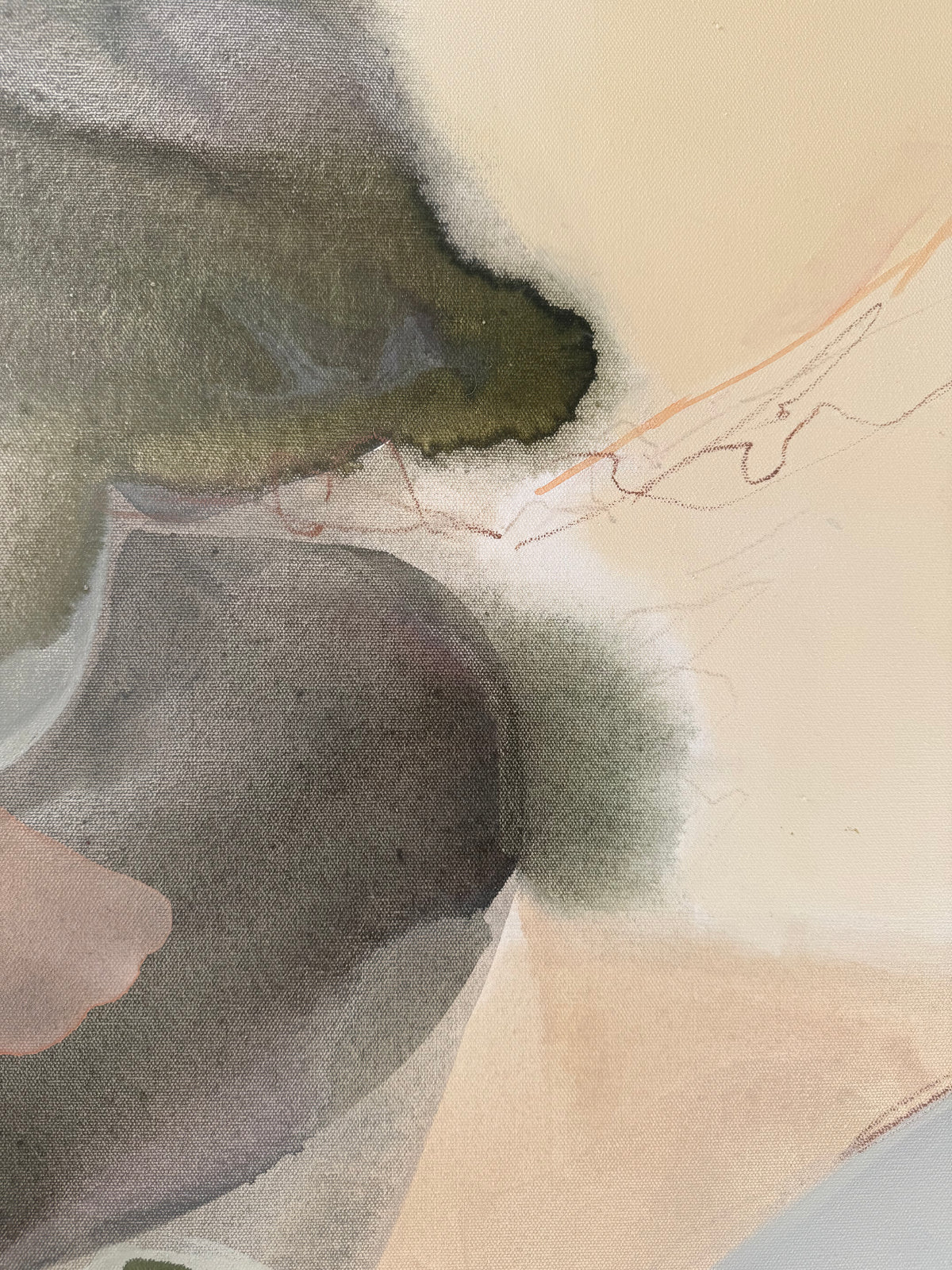 "The Language of Trees"