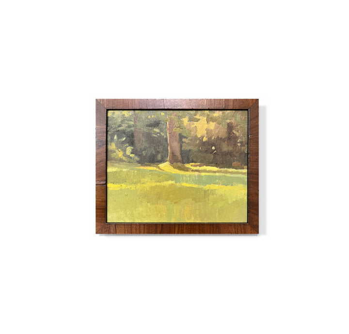 "Sugar Maple"
