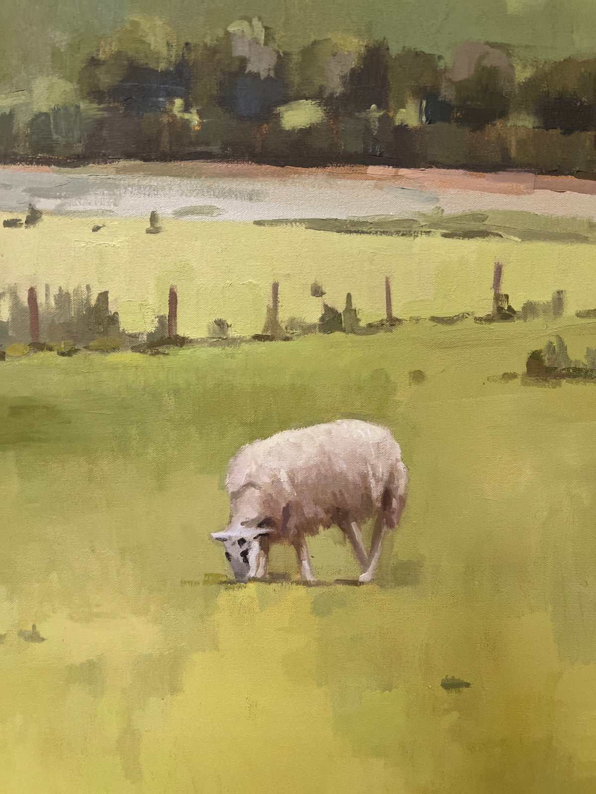 "Two Sheep"
