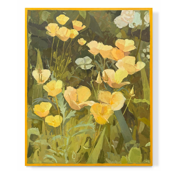 "Large California Poppies"