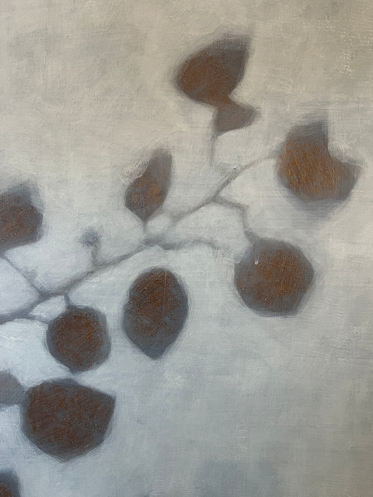 "Afternoon Shadows"