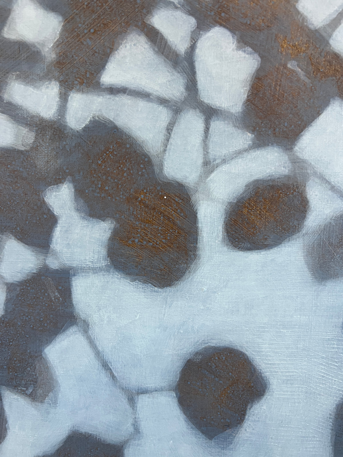 "Afternoon Shadows"
