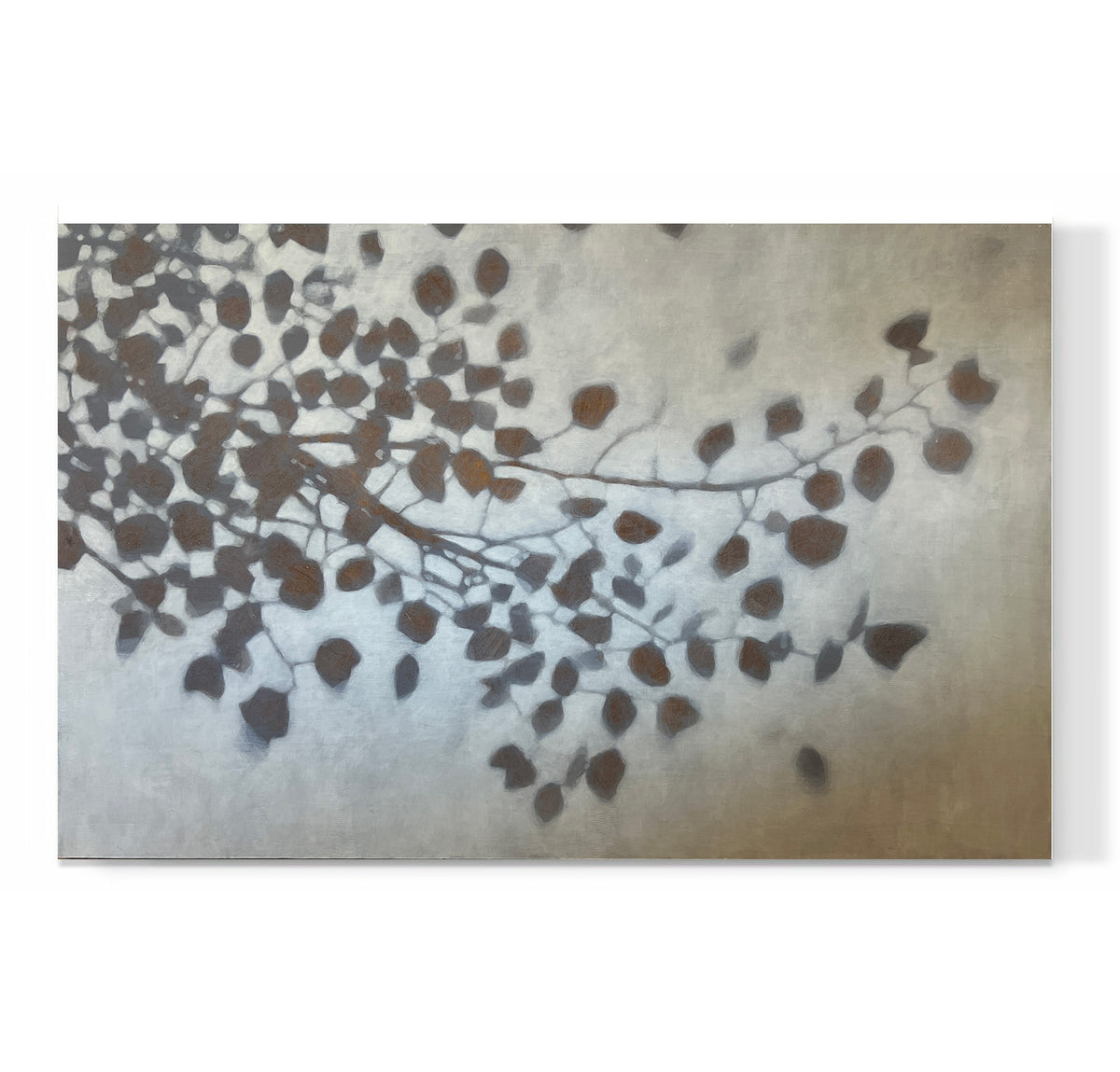 "Afternoon Shadows"