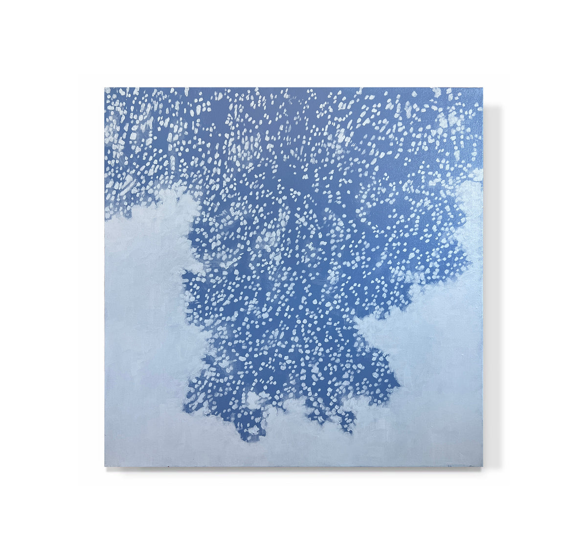 "Small Canopy X"