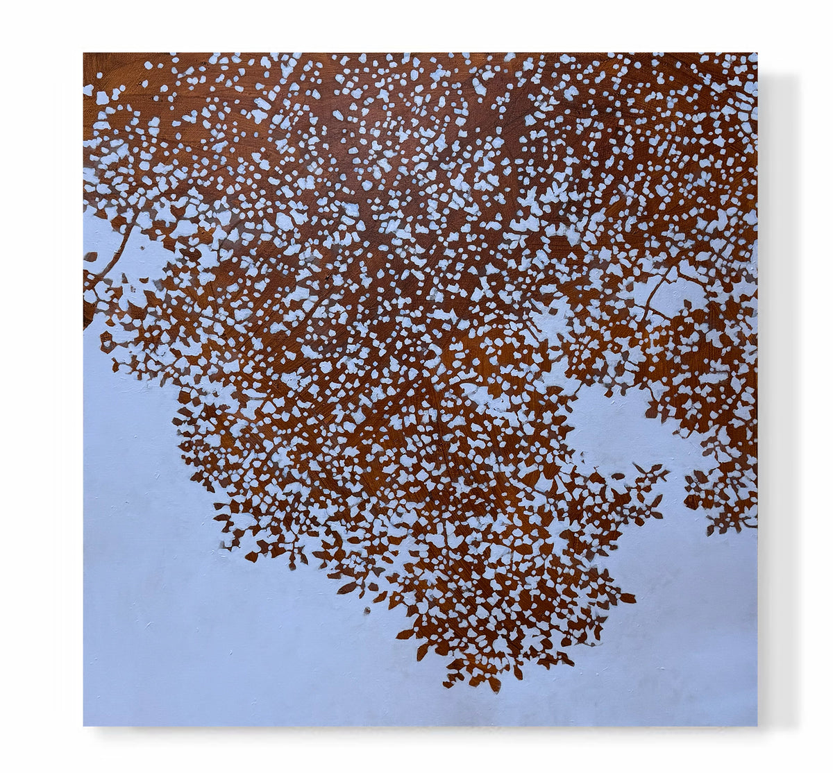 "Afternoon Canopy"