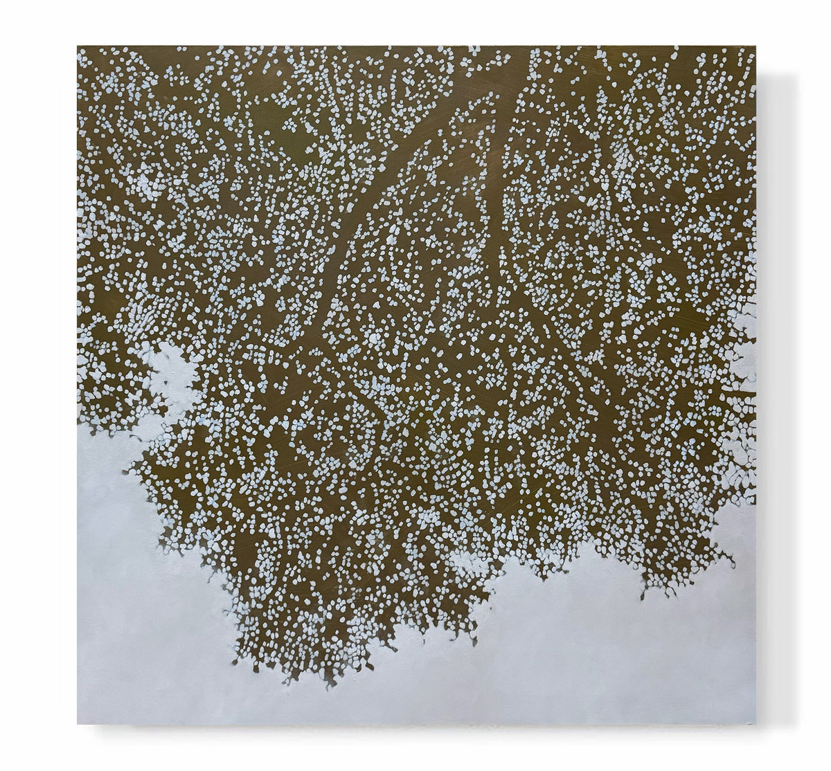"Bronze Canopy"
