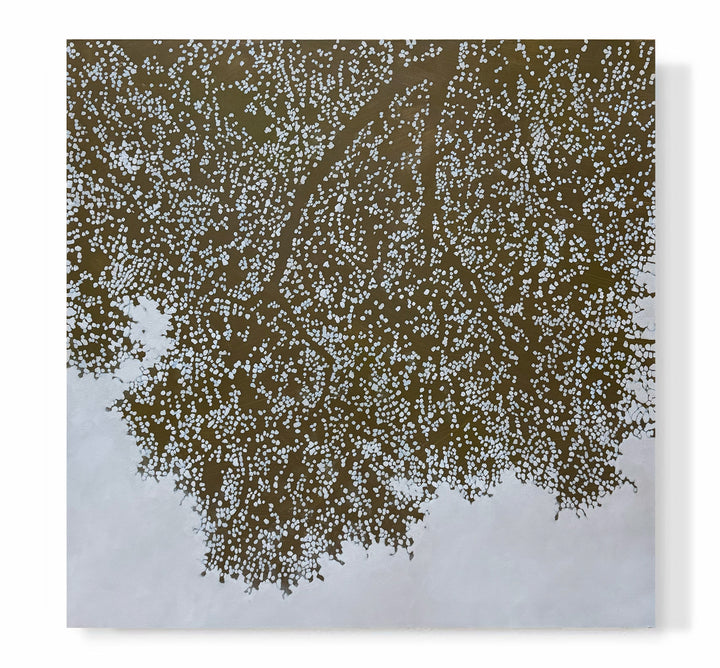 "Bronze Canopy"