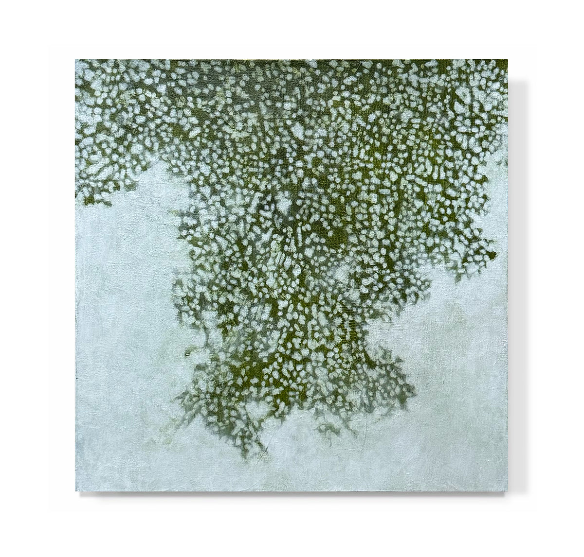 "Green Tree Study 02"