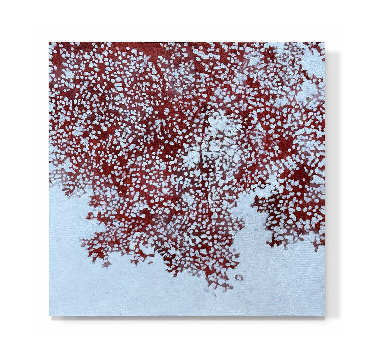"Red Tree Study"