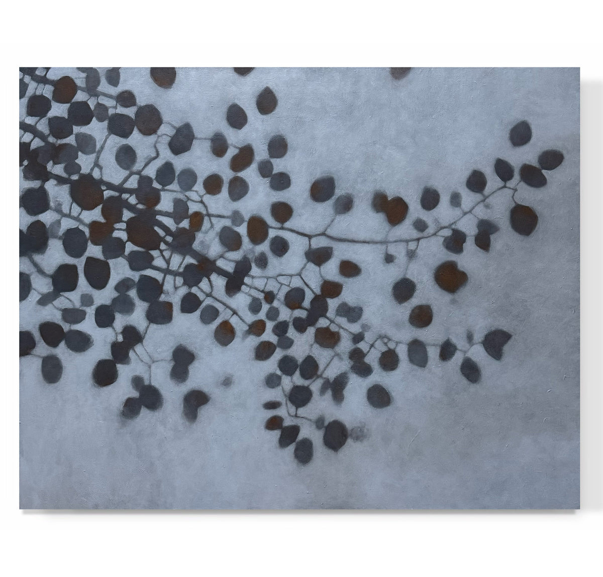 "Shadows and Leaves"