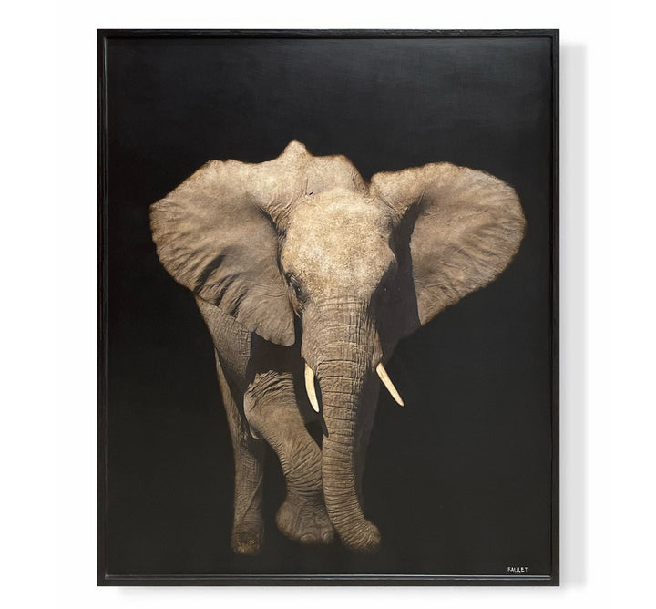 "Elephant"