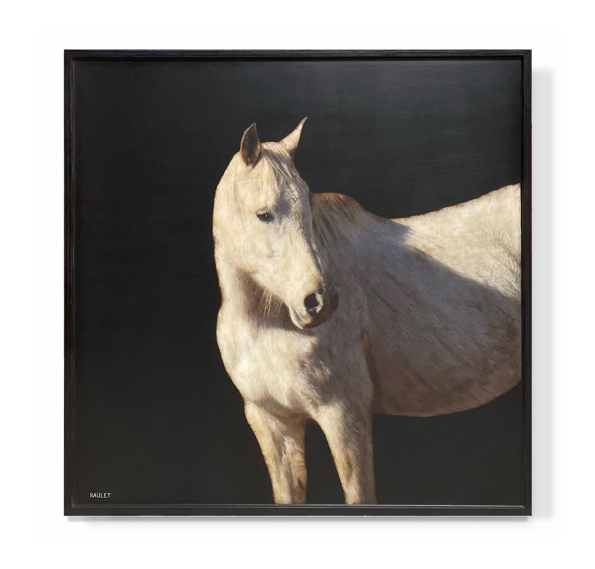 "Horse"