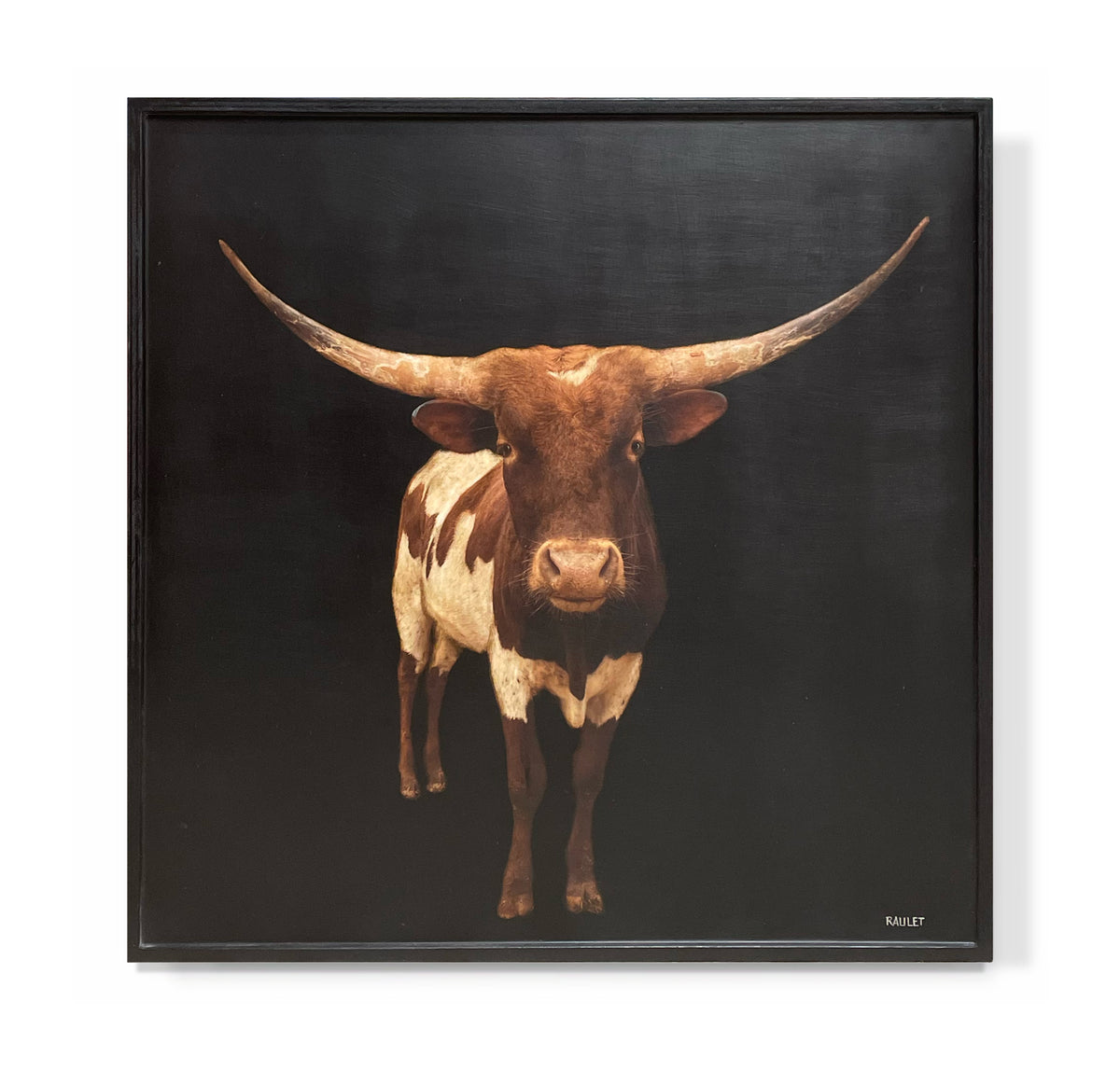 "Longhorn"