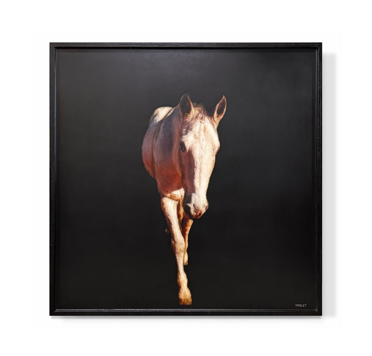 "Horse"