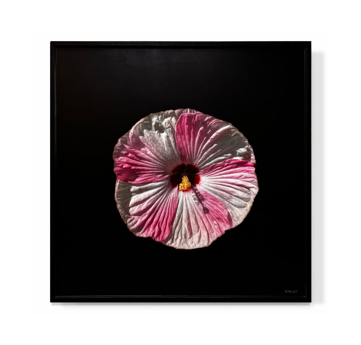 "Flower"