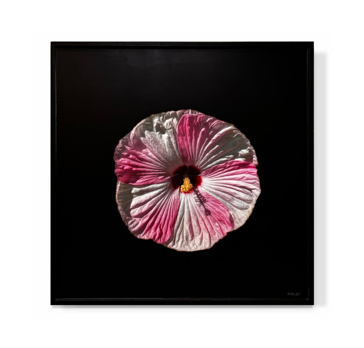 "Flower"