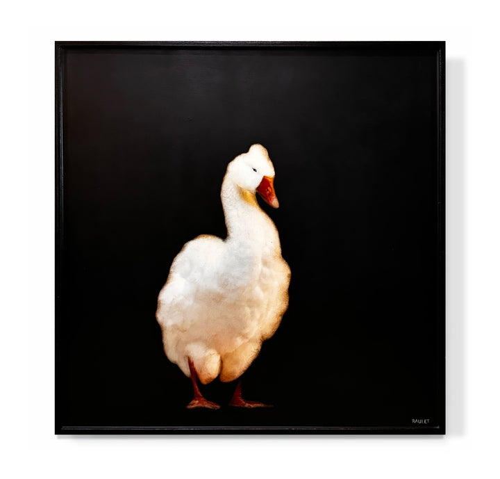"Goose 3"