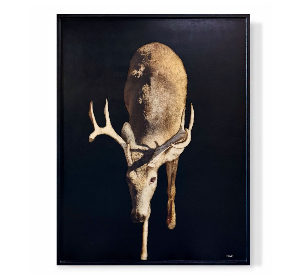 "Buck"