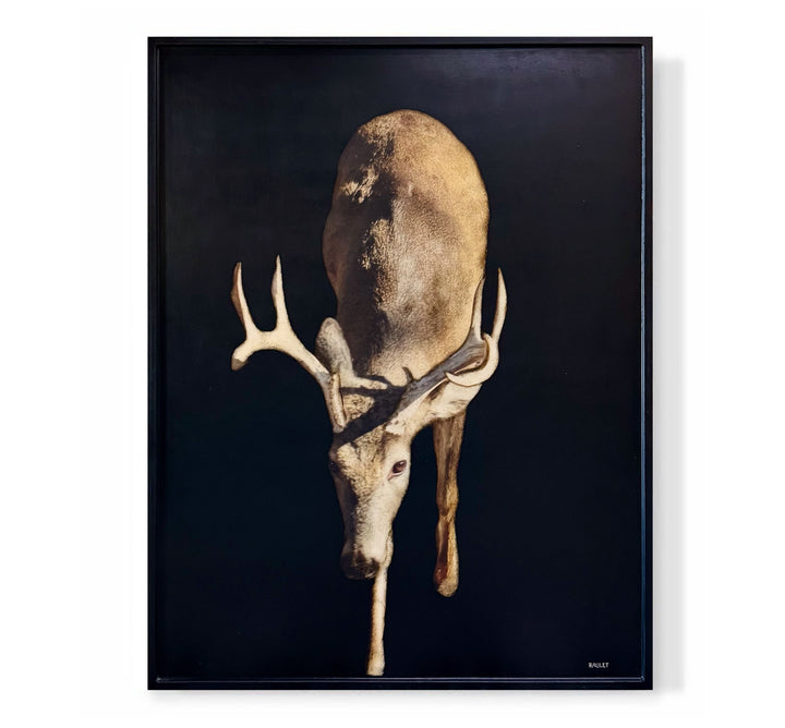 "Buck"