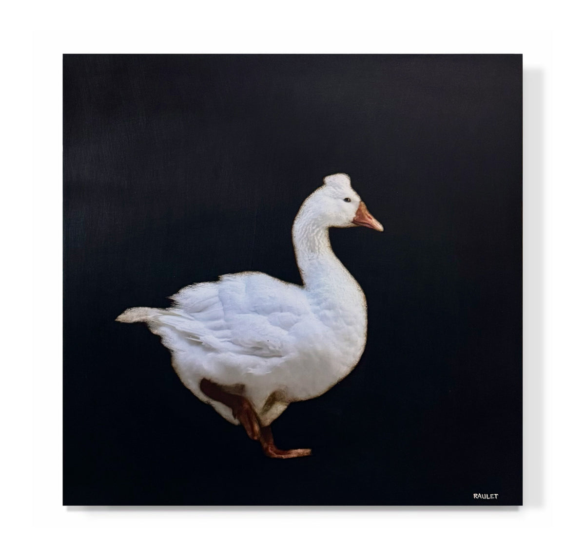 "Goose 4"