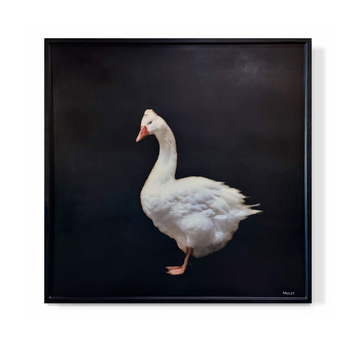 "Goose 5"