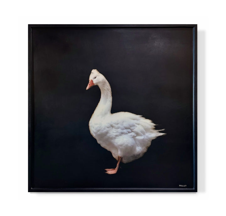"Goose 5"
