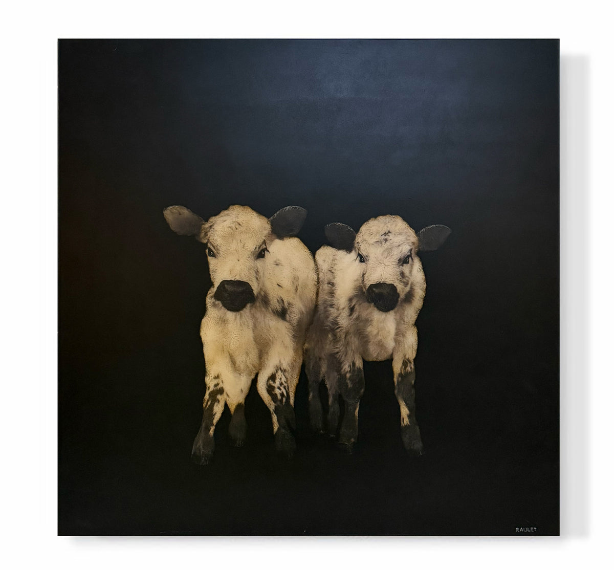 "Calf Pair"