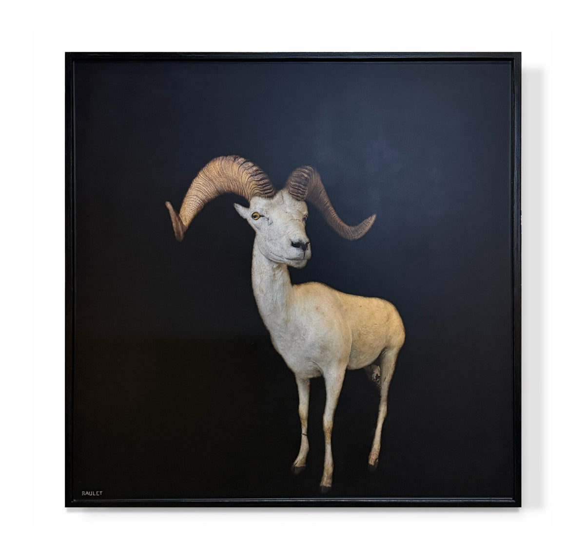 "Ram"