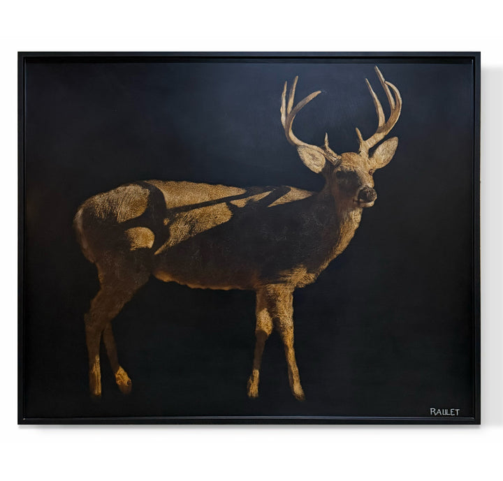 "Stag in the Shadows"