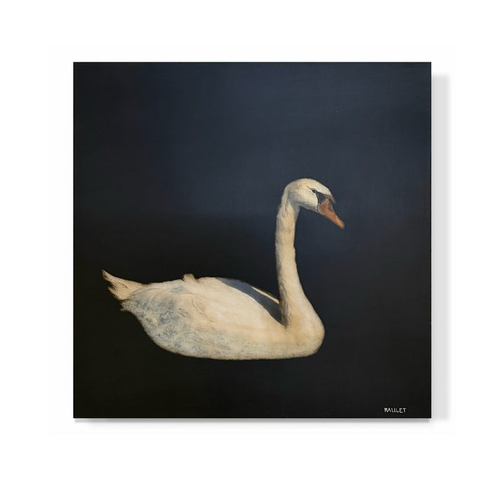 "Swan"