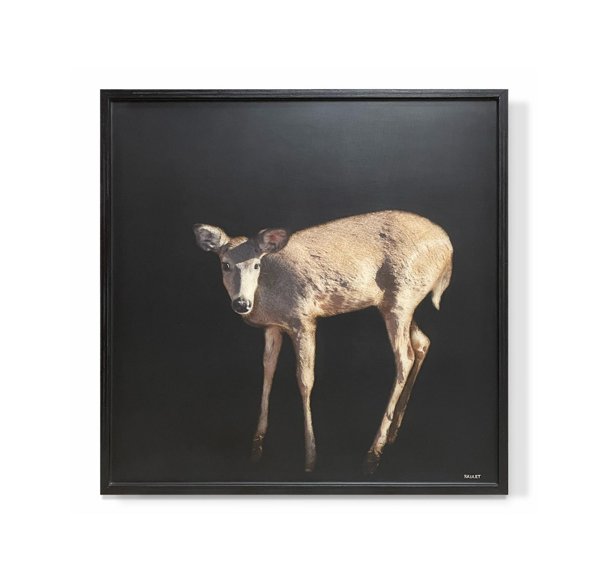 "Doe"