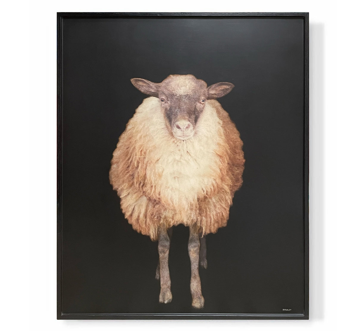 "Sheep"
