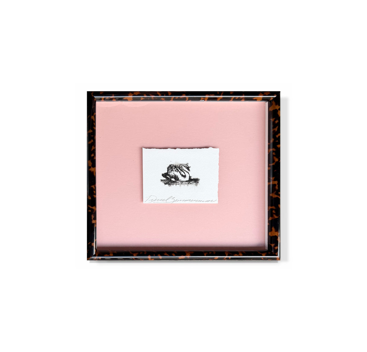 "Small Swan on Pink"