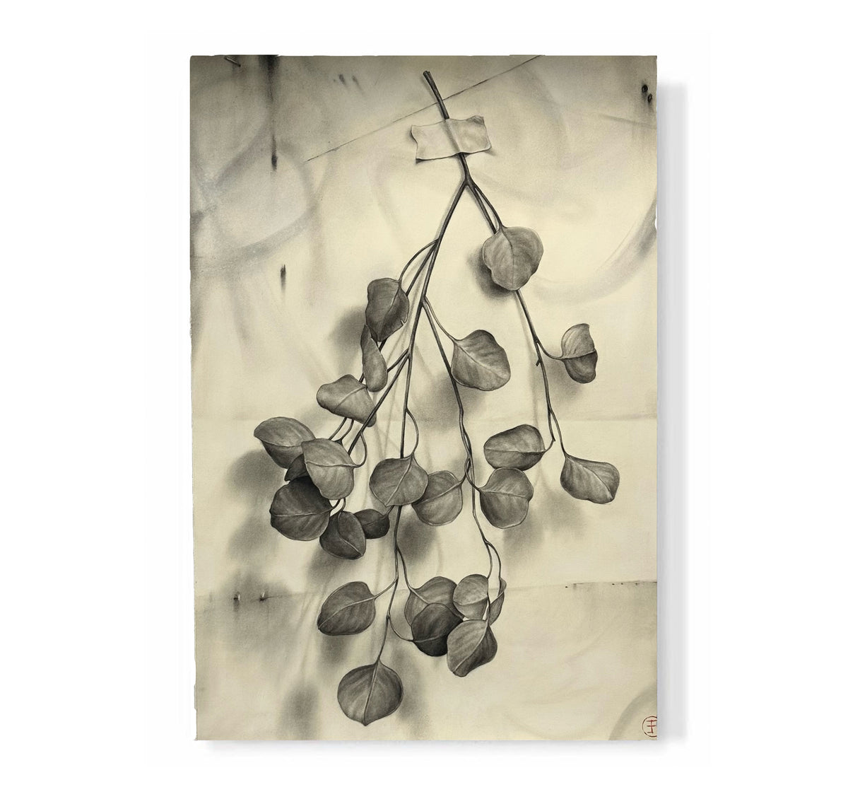 "Eucalyptus Branch"