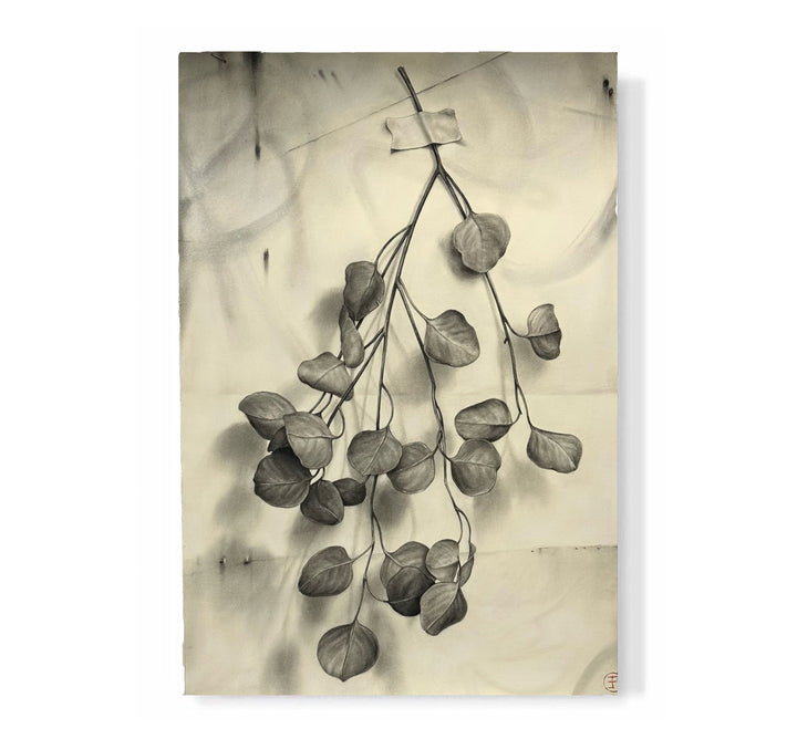 "Eucalyptus Branch"