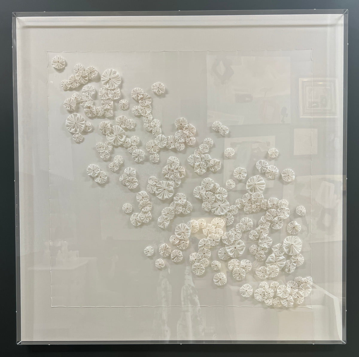"Bianca Rosette XIII"