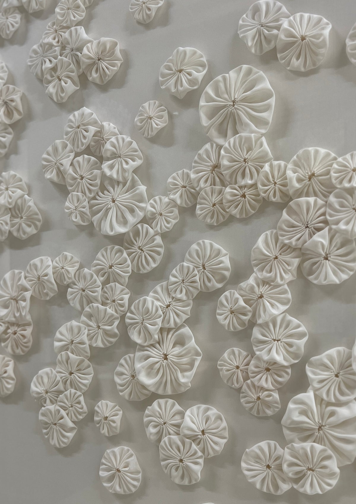 "Bianca Rosette XIII"