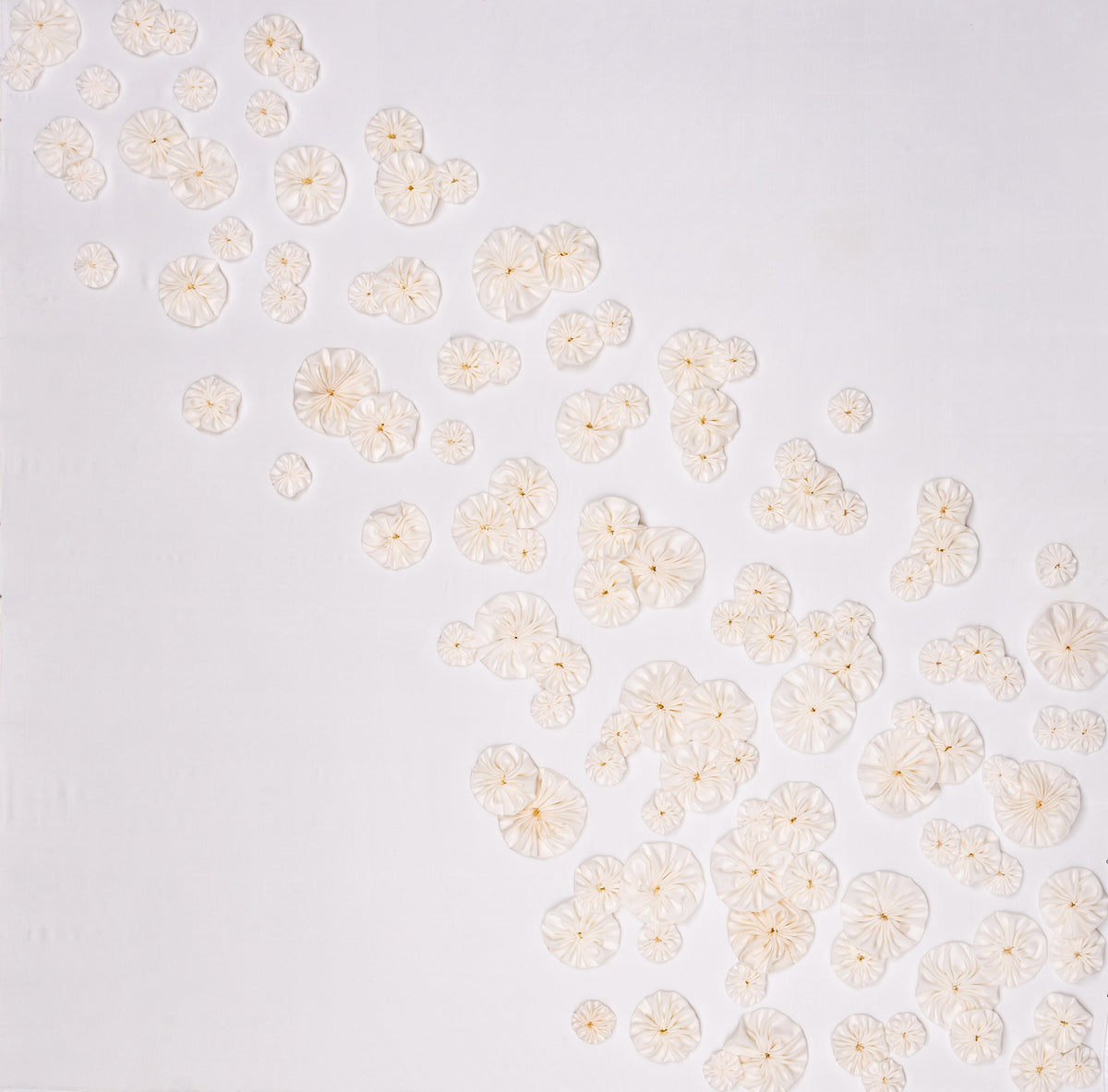 "Bianca Rosette XVII"