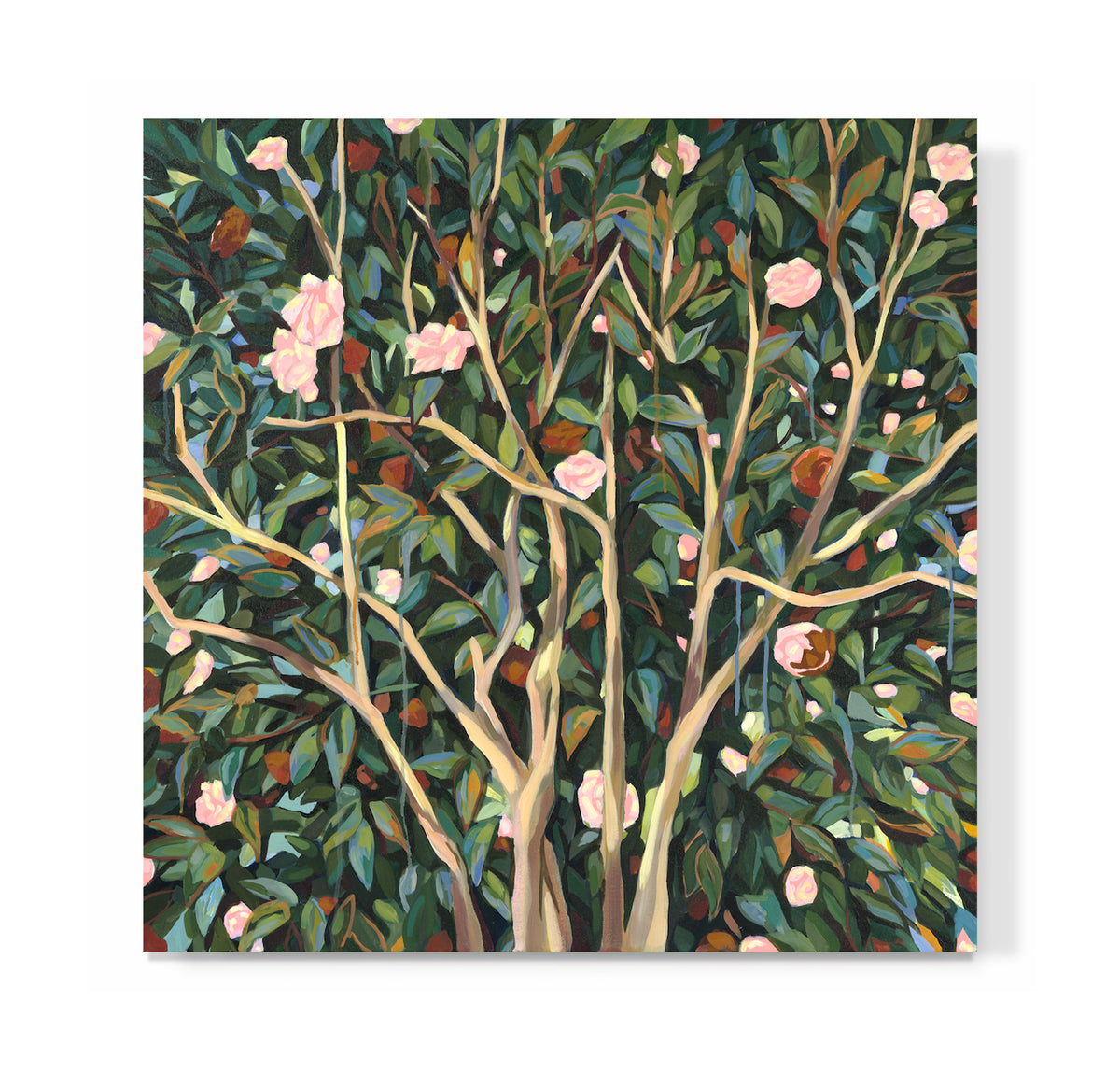 "Our Winter Camellia"