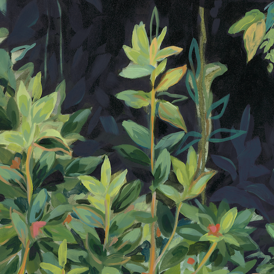 "Blue Ridge by the Stream"
