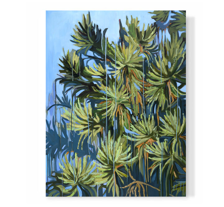 "Japanese Cedar"