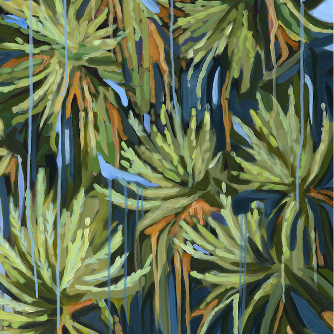 "Japanese Cedar"