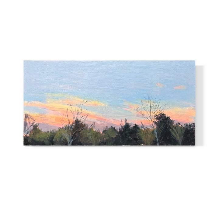 "Winter Sunset No. 6"