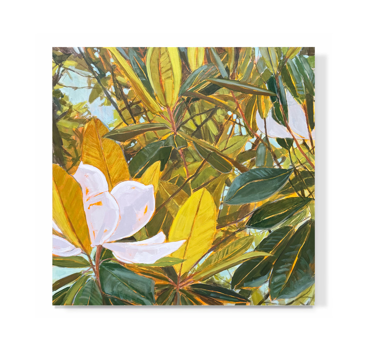 "Grande Magnolia No. 1"