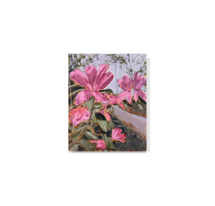 "Azalea Season No. 1"