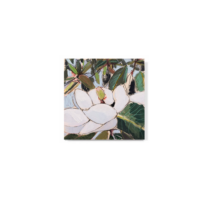 "Magnolia Sketch No. 14"