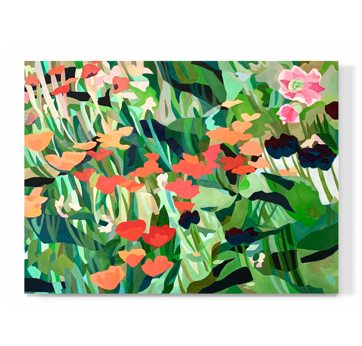 "Wild Poppy Field"