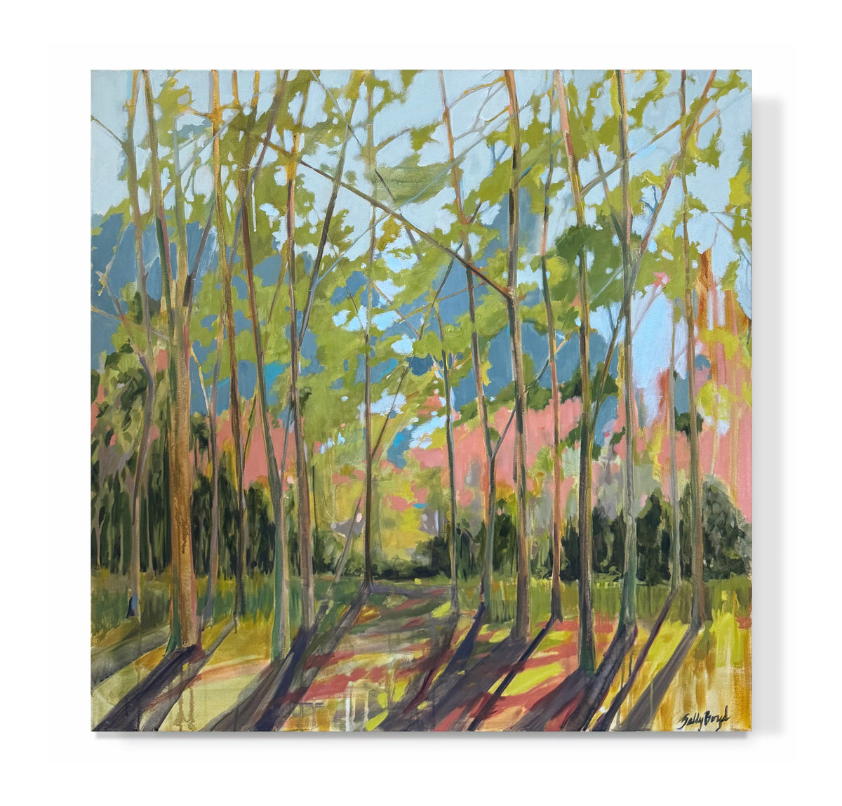 "Color Window"